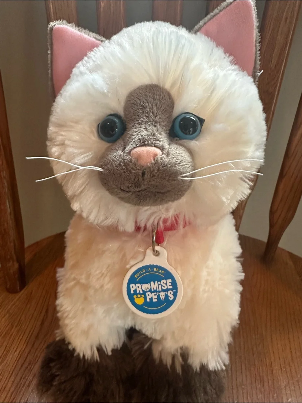 Build a Bear Ragdoll Siamese Himalayan Plush Stuffed Animal Promise Pets Collar